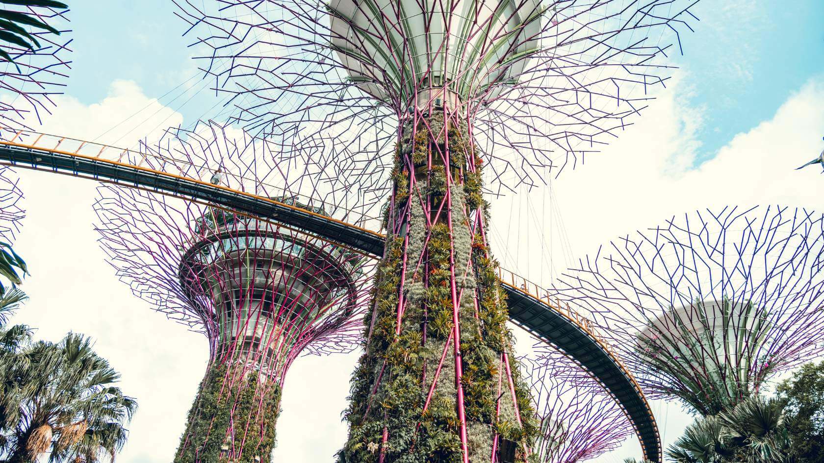 gardens by the bay singapur