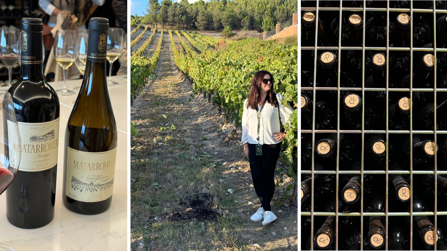 Bodega Matarromera ruta del vino valladolid ribera del duero