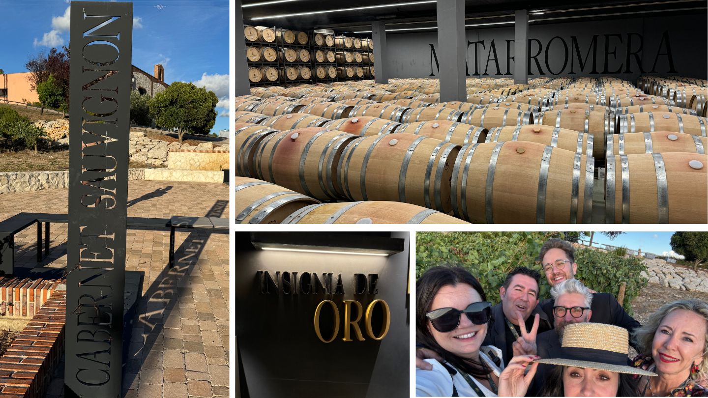 Bodega Matarromera ruta del vino valladolid ribera del duero