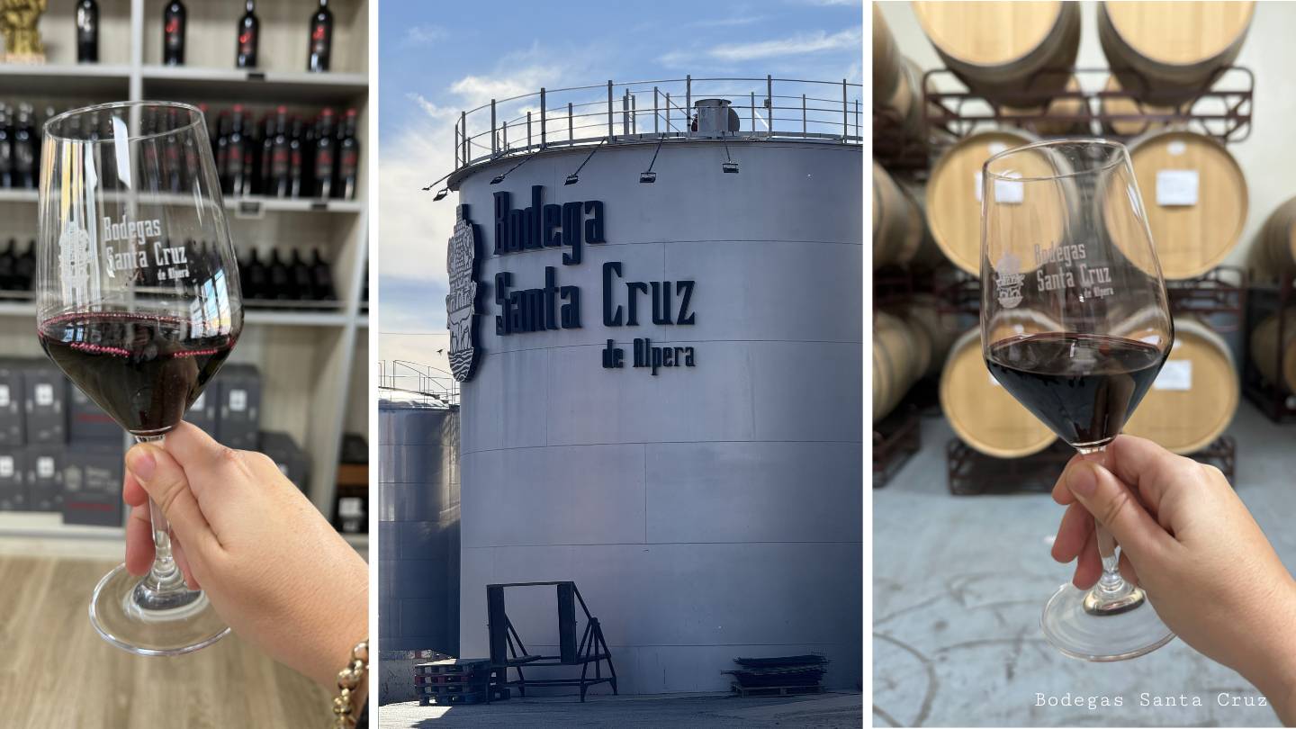 Visita bodega almansa ruta del vino (9)