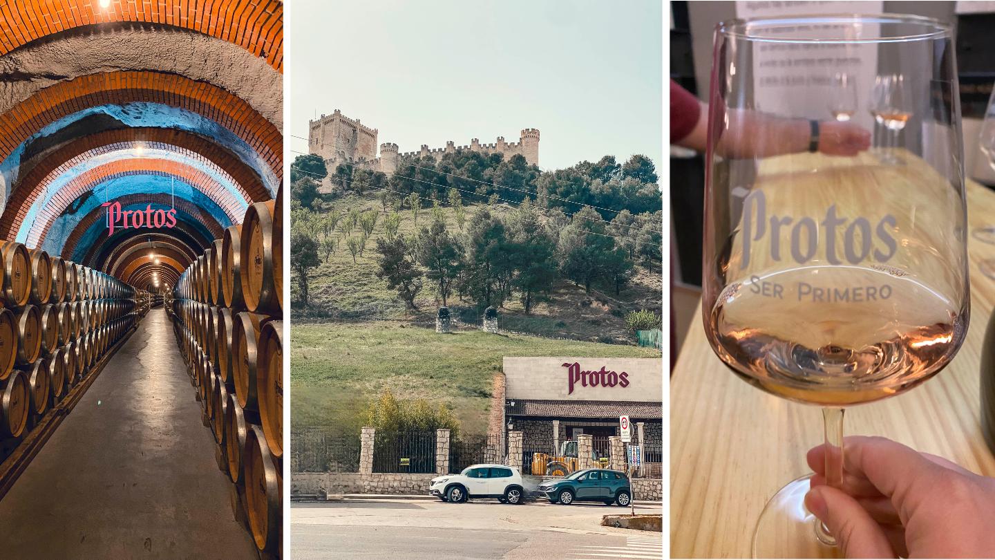 Visita bodega protos ruta del vino (2)