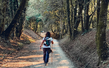 camino de santiago