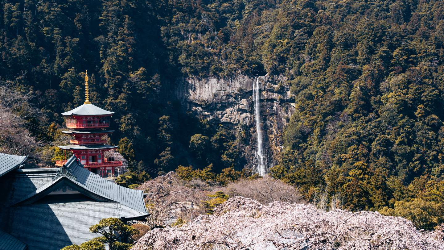 ruta nakahechi Kumano Kodo: la ruta de peregrinación japonesa hermanada con el camino de santiago. Nachi falls
