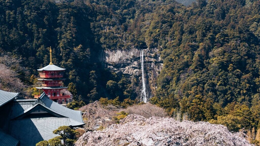 esim japon datos ilimitados internet japon