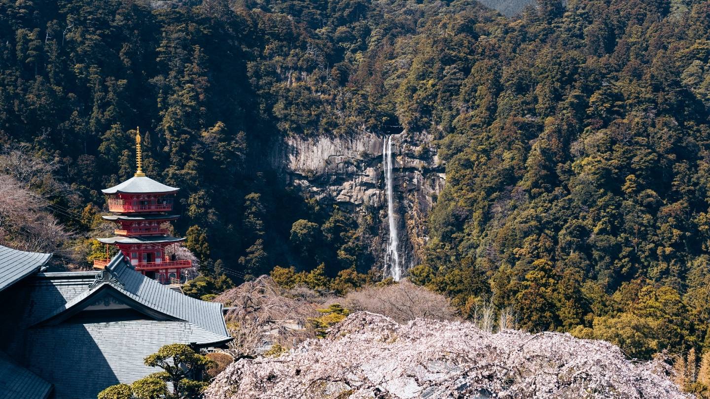 esim japon datos ilimitados internet japon