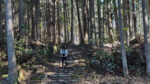 ruta nakahechi Kumano Kodo: la ruta de peregrinación japonesa hermanada con el camino de santiago