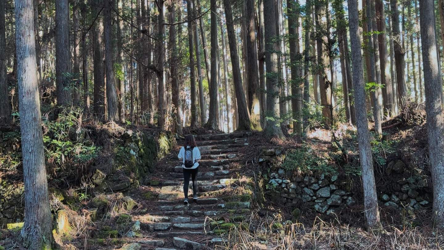 ruta nakahechi Kumano Kodo: la ruta de peregrinación japonesa hermanada con el camino de santiago