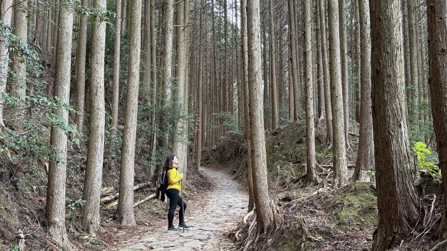 Kumano Kodo: la ruta de peregrinación japonesa hermanada con el camino de santiago