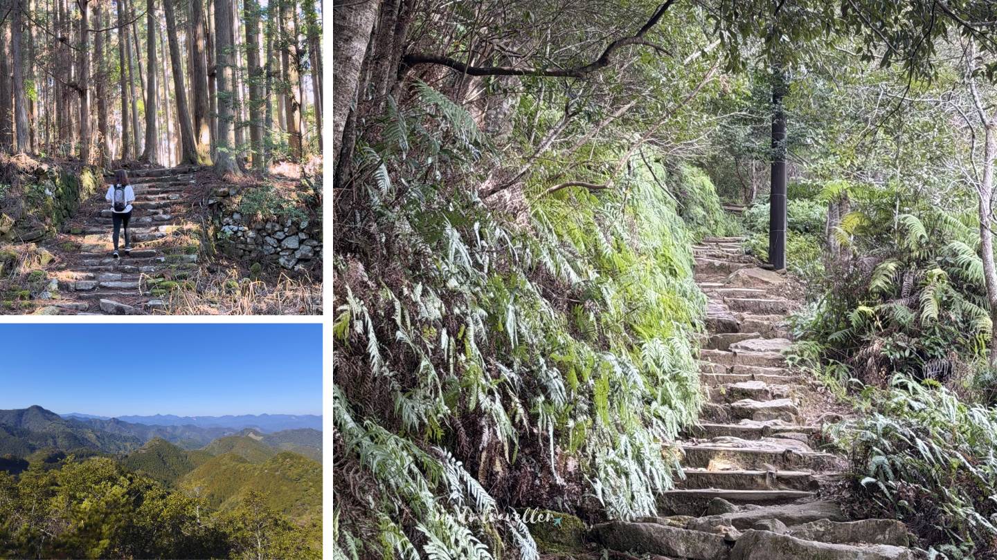 Ruta Nakahechi kumano kodo