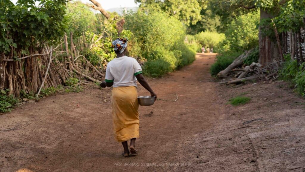 consejos para viajar a senegal